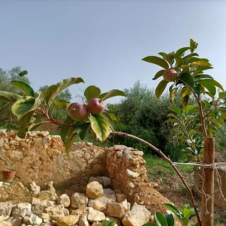 Tatil Evi Casalinho In Portugal - *