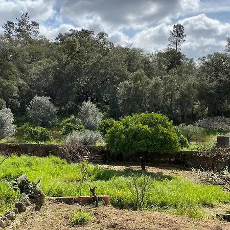 Casalinho In Portugal -
