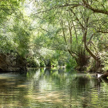 Casalinho In Portugal - Tatil Evi Tomar