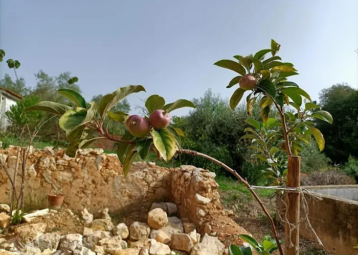 בית נופש Casalinho In Portugal - *
