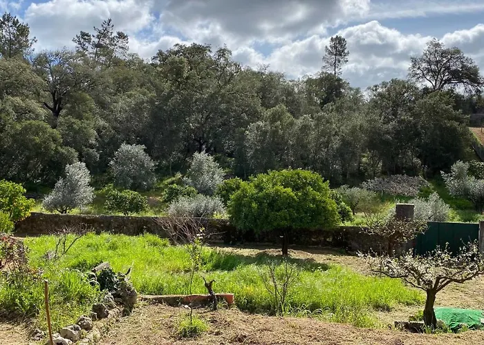Casalinho In Portugal -