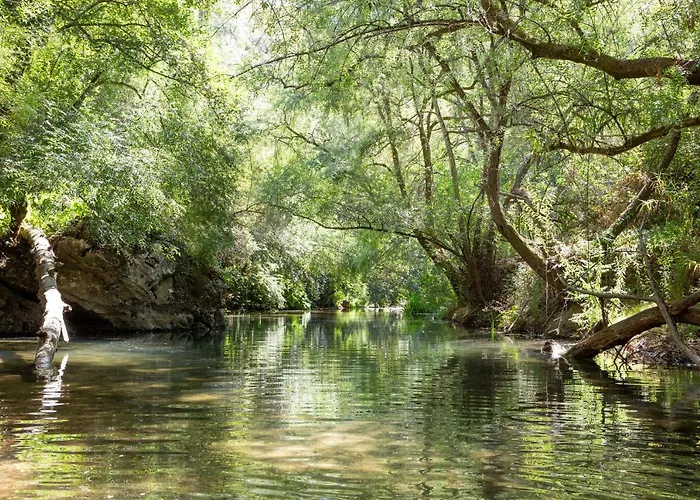 Casalinho In Portugal - 別荘 トマール