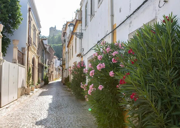 別荘 Casalinho In Portugal - トマール